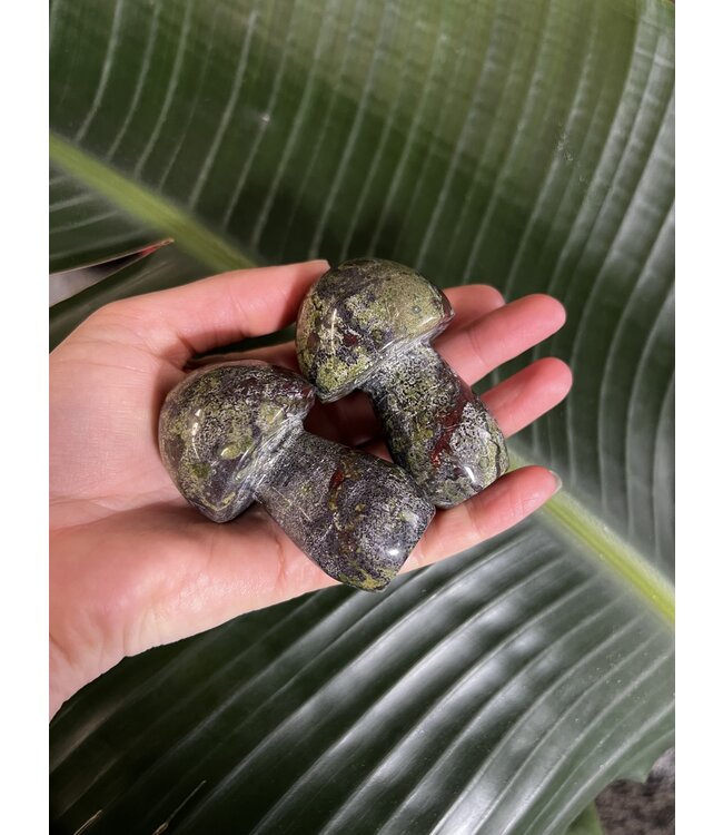 Dragon Bloodstone Mushroom, Size Jumbo [150-174gr]