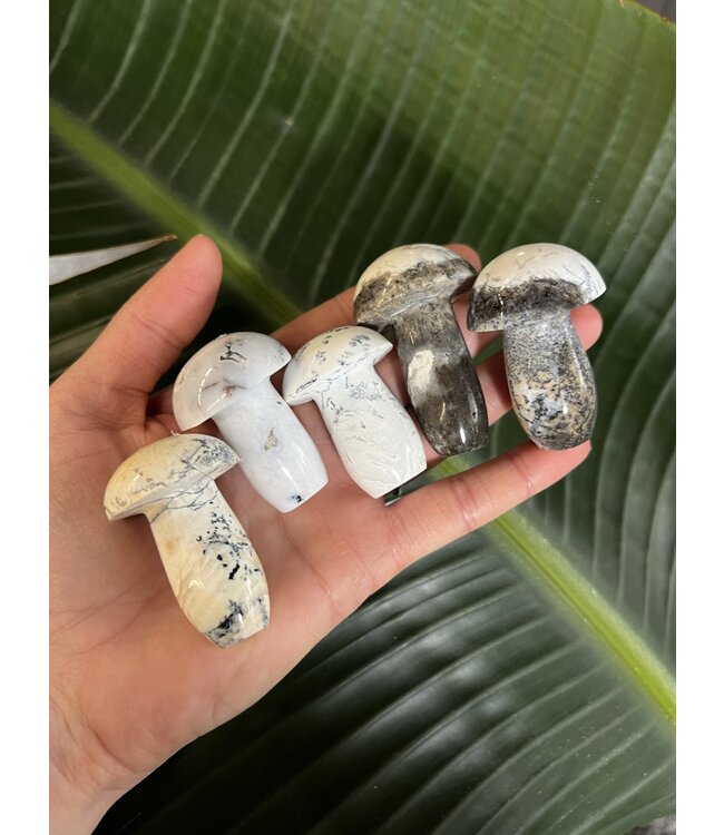 Dendritic Agate Mushroom, Size Small [25-49gr] *disc.*
