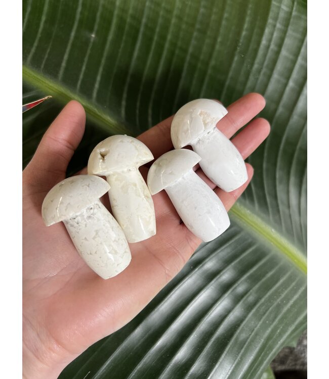 Snow Agate Mushroom, Size Medium [50-74gr] *disc.*