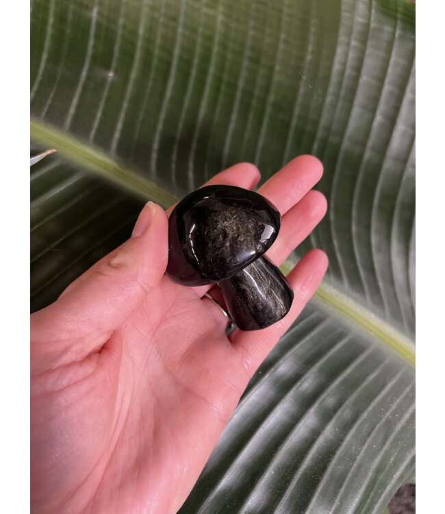 Gold Sheen Obsidian Mushroom, Size X-Large [100-124gr]