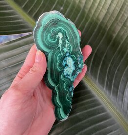 Malachite/Chrysocolla Slice #1, 146gr