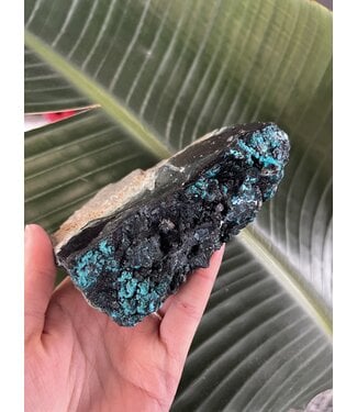 Botryoidal Chrysocolla Specimen #12, 468gr