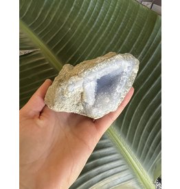 Blue Lace Agate Raw Geode #212, 420gr