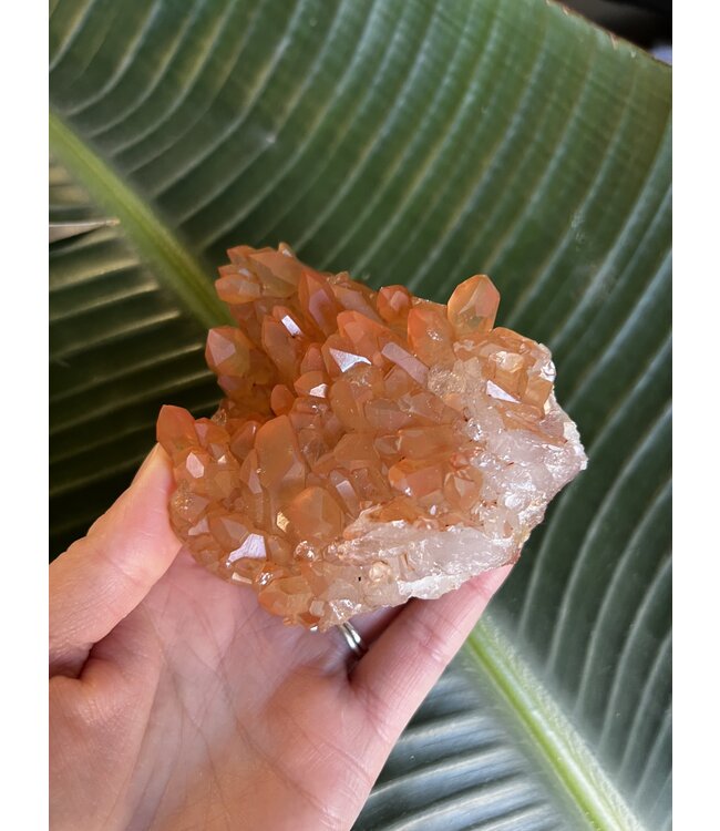 Red Quartz Cluster #4, 310gr