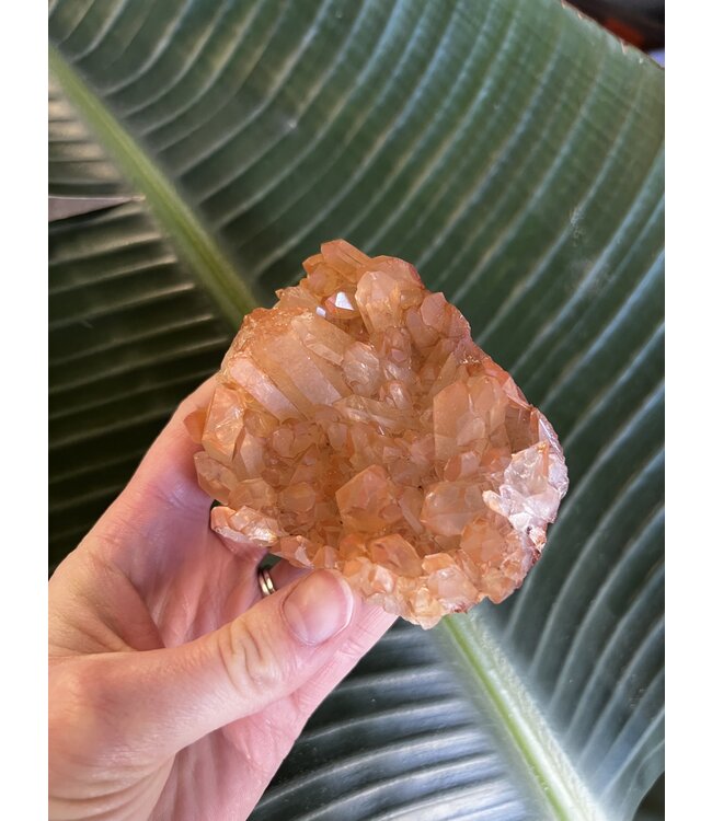 Red Quartz Cluster #5, 240gr