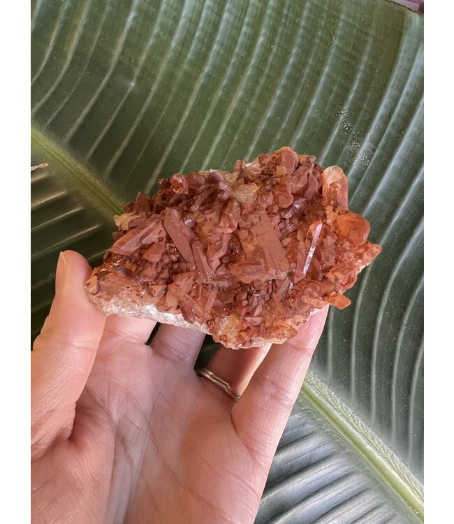 Red Quartz Cluster #12, 212gr