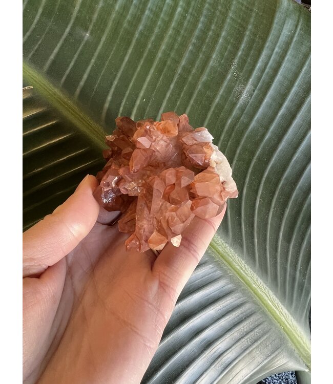 Red Quartz Cluster #14, 194gr