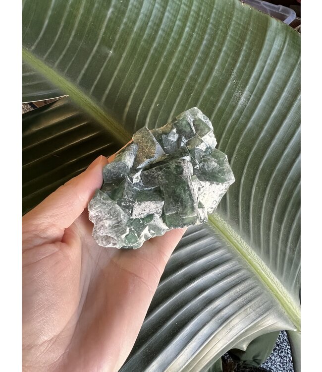Natural Raw Green Fluorite Specimen #35, 398gr