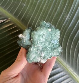 Natural Raw Green Fluorite Specimen #60, 340gr