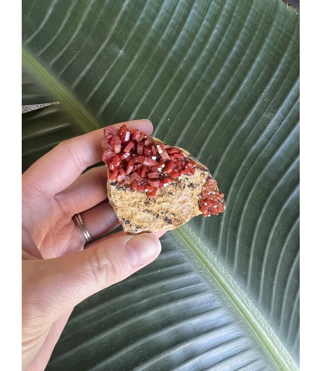 High Grade Vanadinite Specimen #74, 124gr