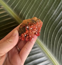 High Grade Vanadinite Specimen #75, 68gr