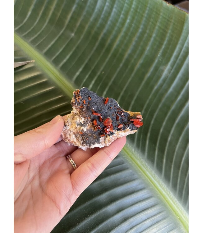 High Grade Vanadinite Specimen #98, 138gr