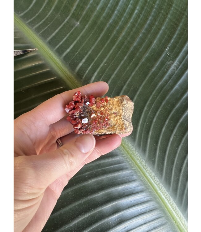 High Grade Vanadinite Specimen #80, 60gr