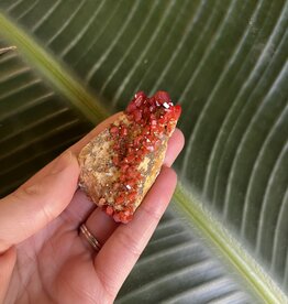 High Grade Vanadinite Specimen #88, 56gr