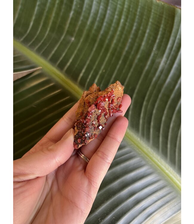 High Grade Vanadinite Specimen #94, 40gr