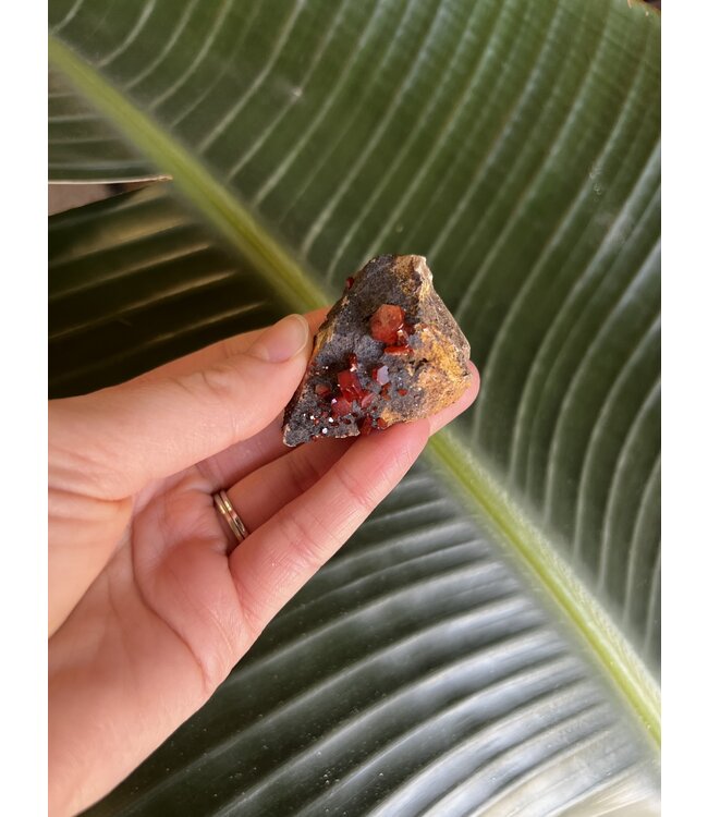 High Grade Vanadinite Specimen #111, 50gr