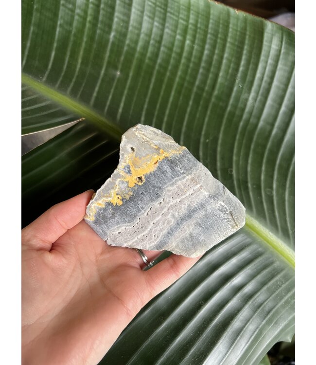 Rough Bumblebee Jasper Size 3 [200-299gr]