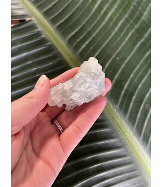 Aquamarine in Mica, high grade, #14, 56gr *disc.*