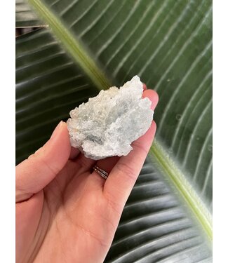 Aquamarine in Mica, high grade, #20, 80gr *disc.*