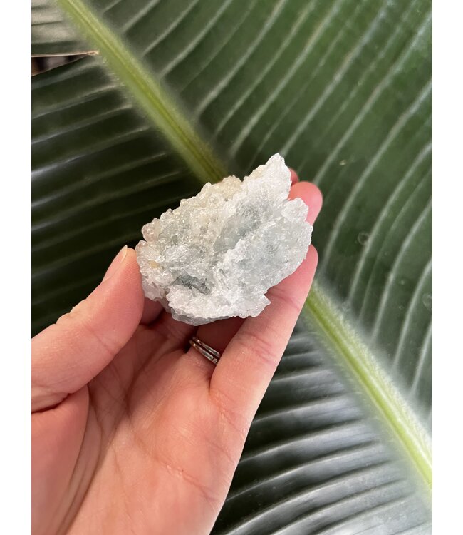 Aquamarine in Mica, high grade, #20, 80gr *disc.*