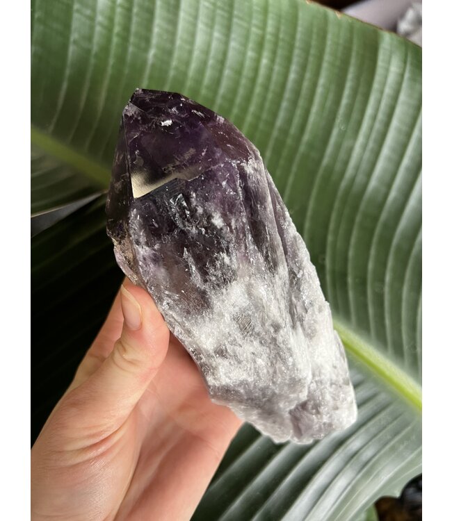 Amethyst Root #28, 818gr *disc.*