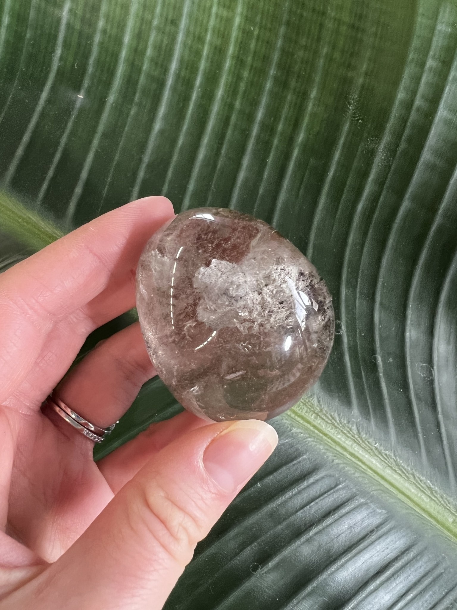 Garden Quartz Lens 166, 110gr The Raw Rock Shop Inc.