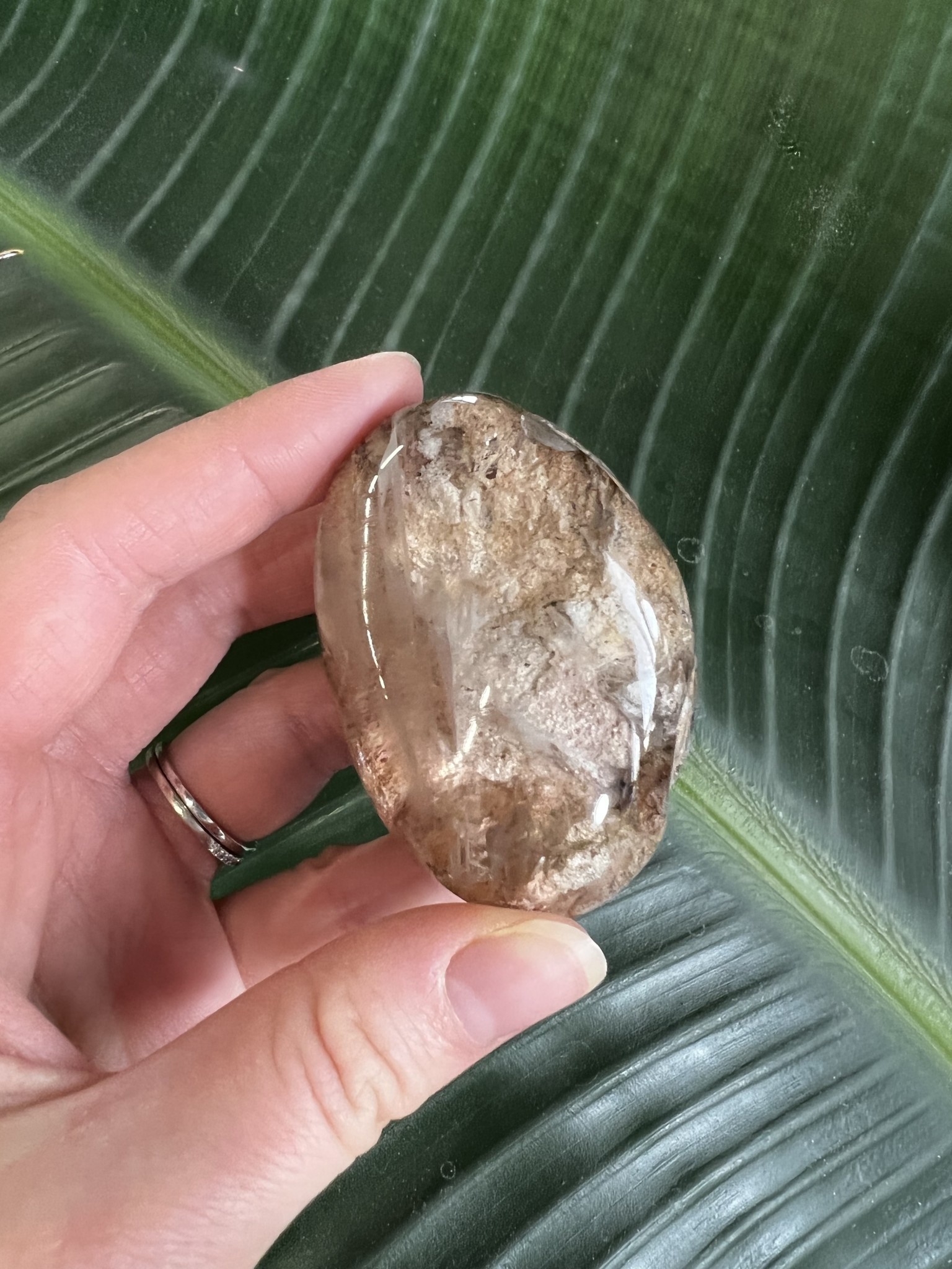 Garden Quartz Lens 171, 104gr The Raw Rock Shop Inc.