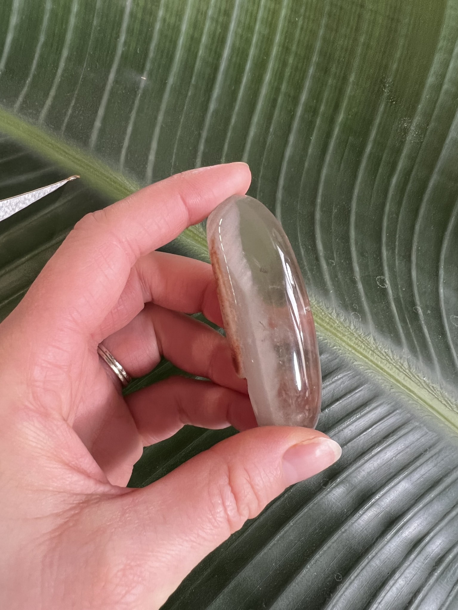 Garden Quartz Lens 187, 46gr The Raw Rock Shop Inc.