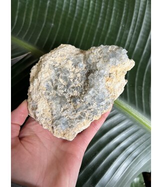 Raw Celestite #45, 766gr *disc.*