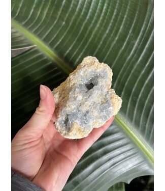 Raw Celestite #48, 474gr *disc.*