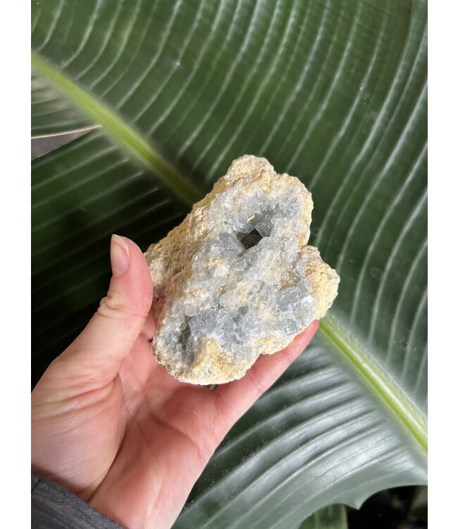 Raw Celestite #48, 474gr
