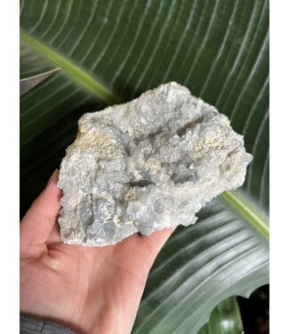 Raw Celestite #49, 862gr *disc.*