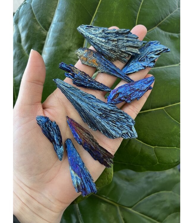 Blue Aura Kyanite BULK