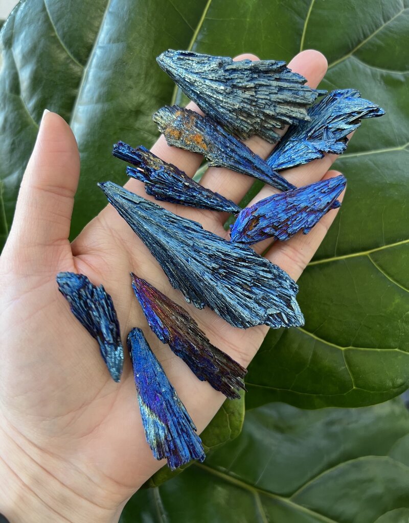 Aura Kyanite BULK