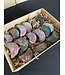 Ocean Jasper Moons 1KG bulk lot