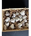 High Flash Garnierite Hearts 1KG bulk lot