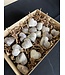 High Flash Garnierite Hearts 1KG bulk lot