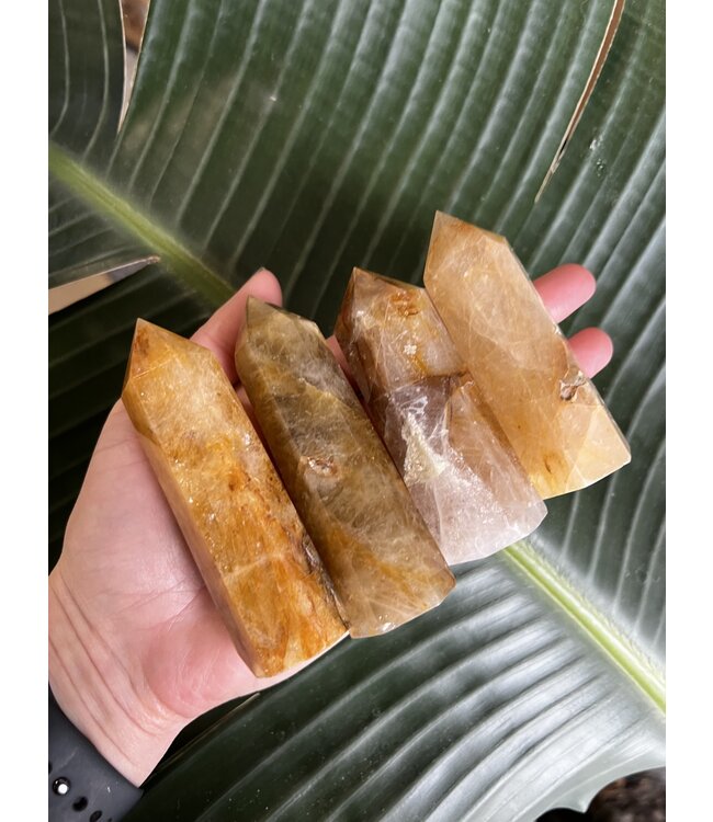 Golden Healer Point, Size X-Large [100-124gr]