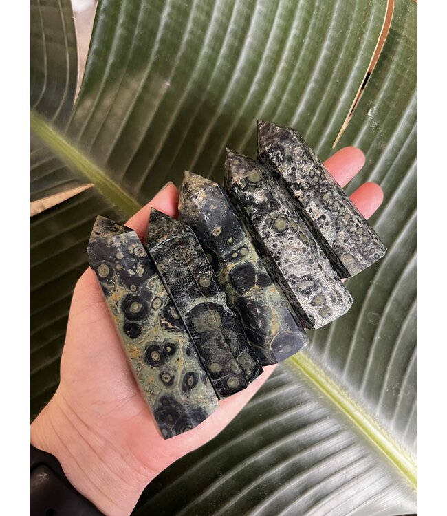 Kambaba Jasper Point, Size Large [75-99gr]