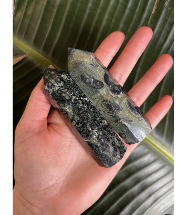 Kambaba Jasper Point, Size X-Large [100-124gr]