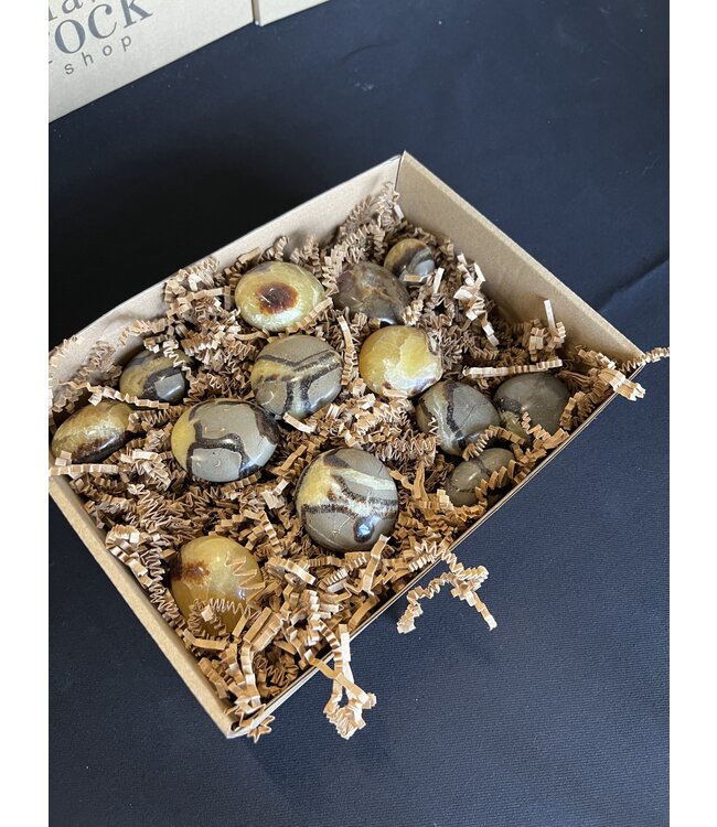 Septarian Palms 1KG bulk lot