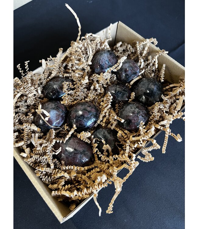 Garnet Palms 1KG bulk lot