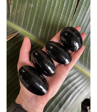 Black Obsidian Palm Stone, Size X-Small [50-74gr]