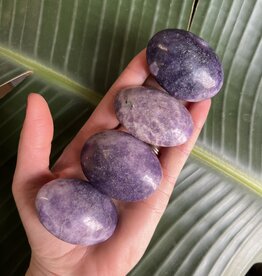 Lepidolite Palm Stone, Size X-Small [50-74gr]
