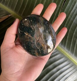 Ocean Jasper Palm Stone, Size Giant [250-274gr]