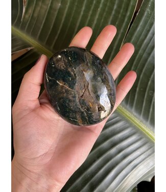 Ocean Jasper Palm Stone, Size Giant [250-274gr]