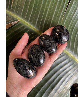 Black Tourmaline Palm Stone, Size X-Small [50-74gr]