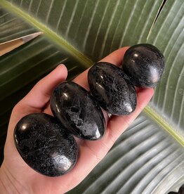 Black Tourmaline Palm Stone, Size Small [75-99gr]