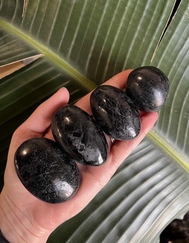 Black Tourmaline Palm Stone, Size Small [75-99gr]