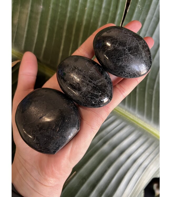 Black Tourmaline Palm Stone, Size Medium [100-124gr]